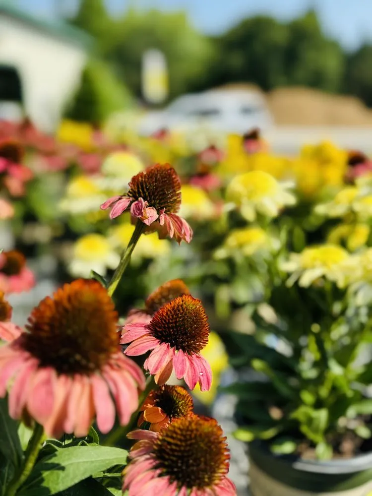 Affordable garden landscaping with custom design in Norwalk, OH by Miller Landscape & Gardens