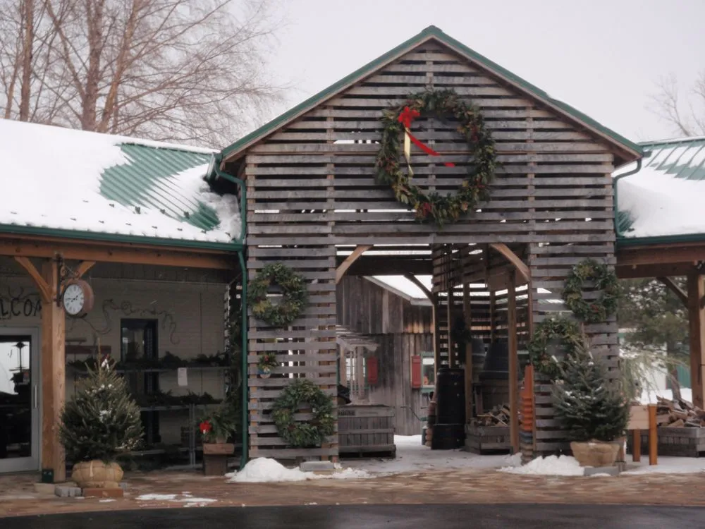 Top-rated yard maintenance in Norwalk, OH - Miller Landscape & Gardens