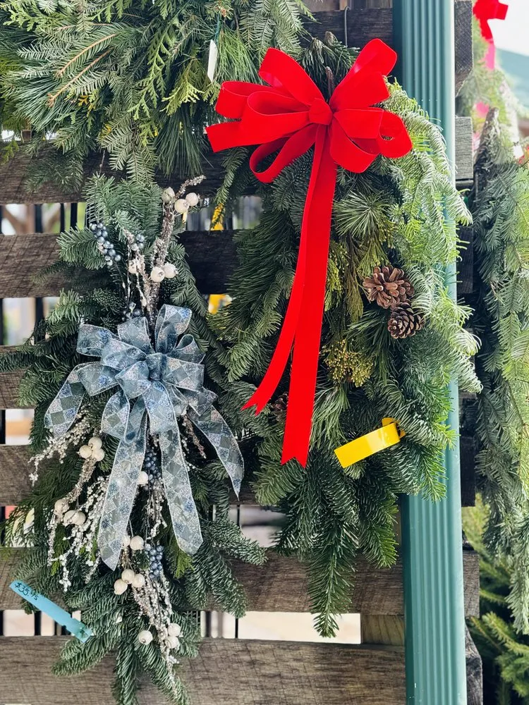 Expert lawn care service for homes in Norwalk, OH by Miller Landscape & Gardens