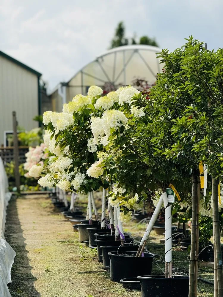 Professional lawn mowing service experts serving Norwalk, OH - Miller Landscape & Gardens