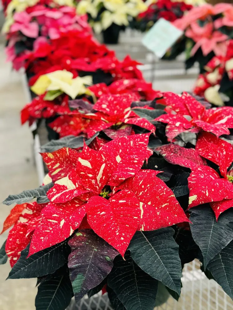 Trusted outdoor landscaping in Norwalk, OH by Miller Landscape & Gardens