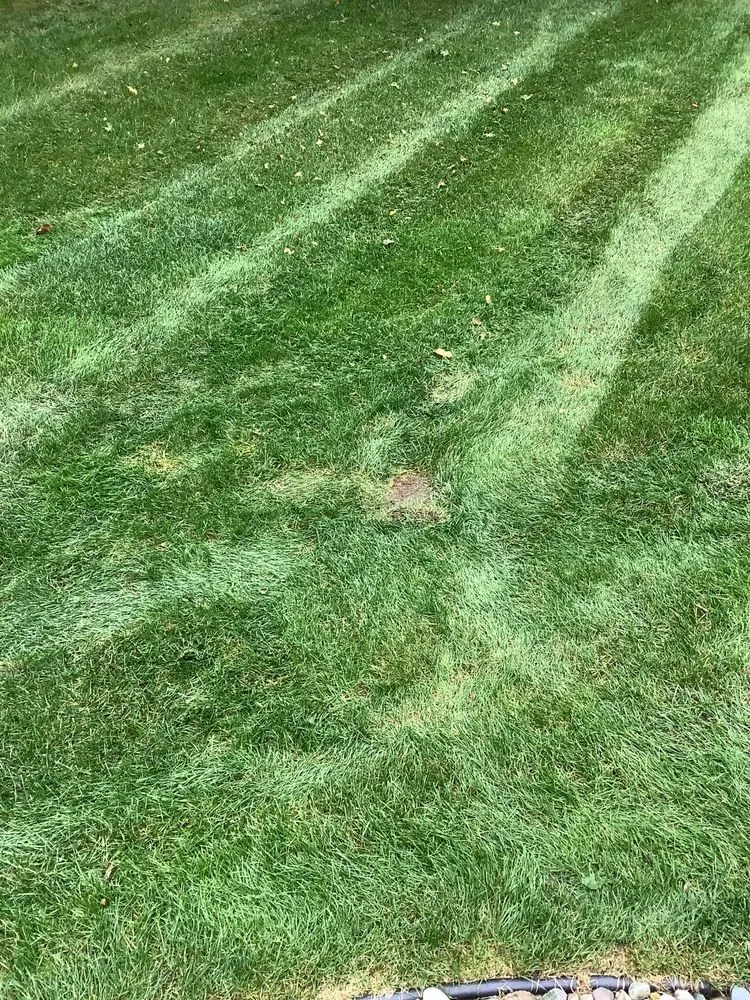 Reliable garden landscaping near you in Orion Township, MI by Miller Landscape