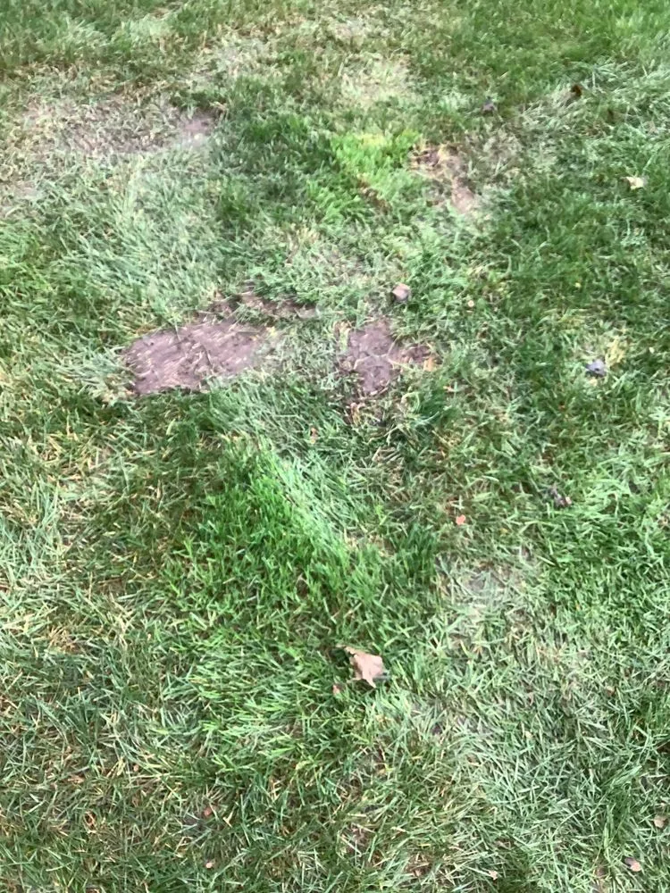 Reliable landscape design in Orion Township, MI - Miller Landscape