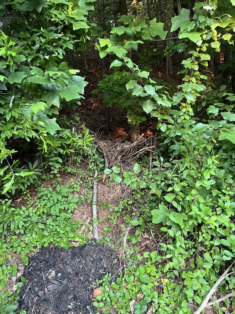 Expert residential landscaping in Woodstock, GA by Miller Landscape