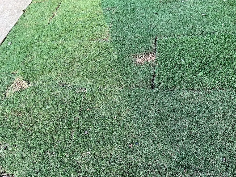 Local lawn care service for beautiful yards across Woodstock, GA - Miller Landscape