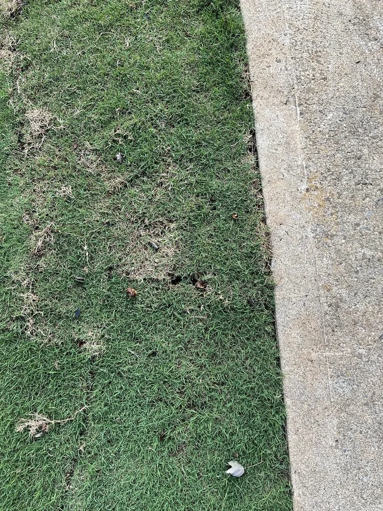 Local garden landscaping with custom design across Woodstock, GA - Miller Landscape