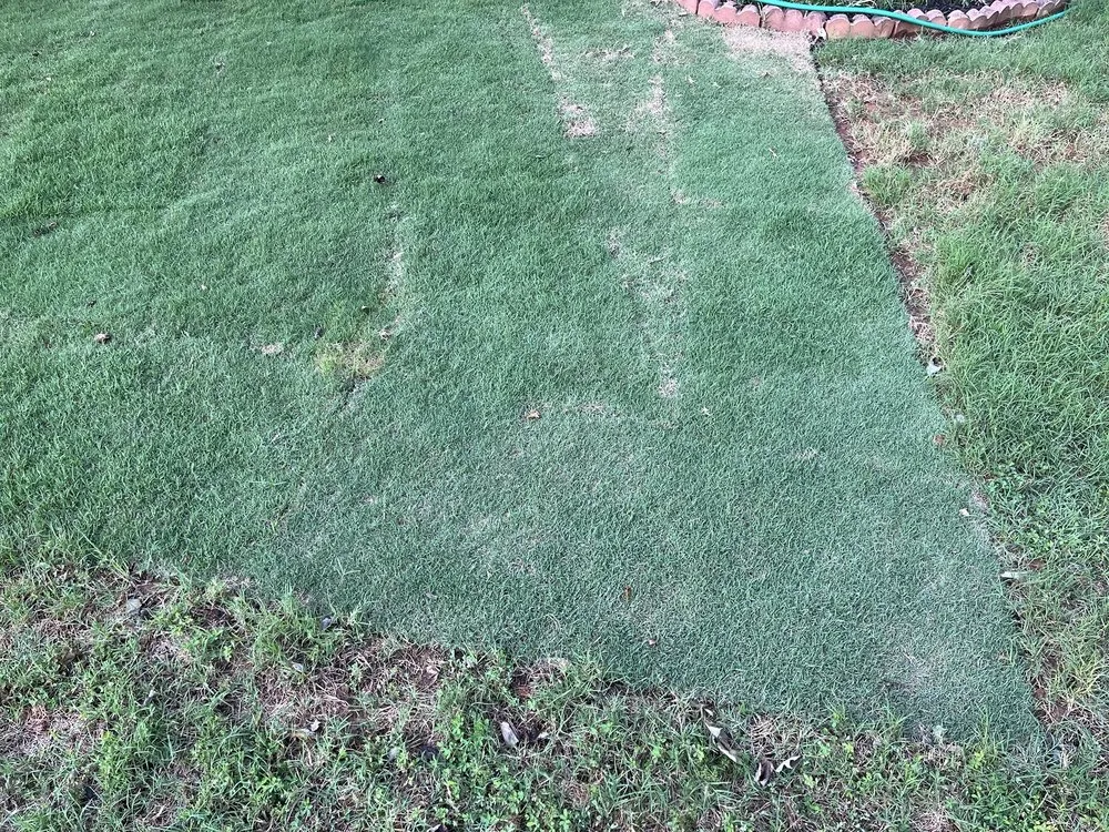 Trusted outdoor landscaping experts serving Woodstock, GA - Miller Landscape