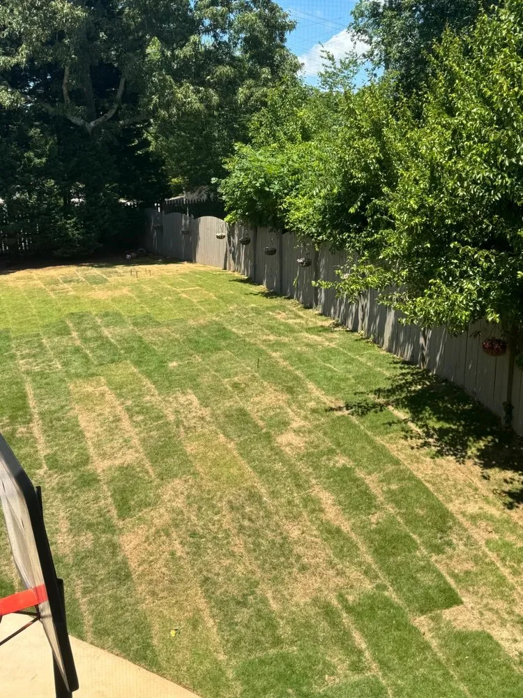 Reliable landscape installation for year-round maintenance across Woodstock, GA - Miller Landscape