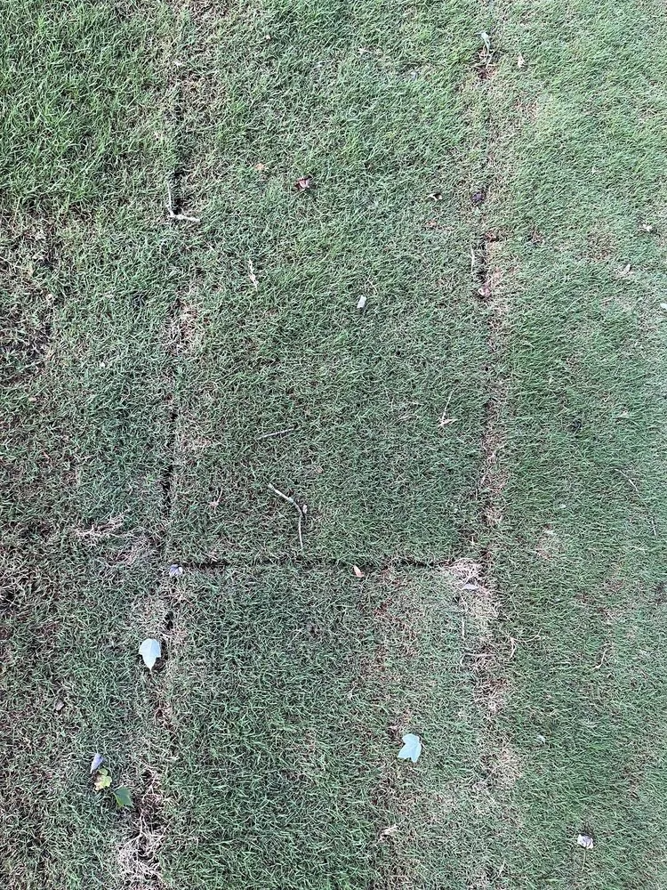 Custom landscape design in Woodstock, GA by Miller Landscape