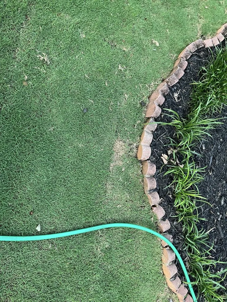 Top-rated landscape installation for year-round maintenance in Woodstock, GA by Miller Landscape