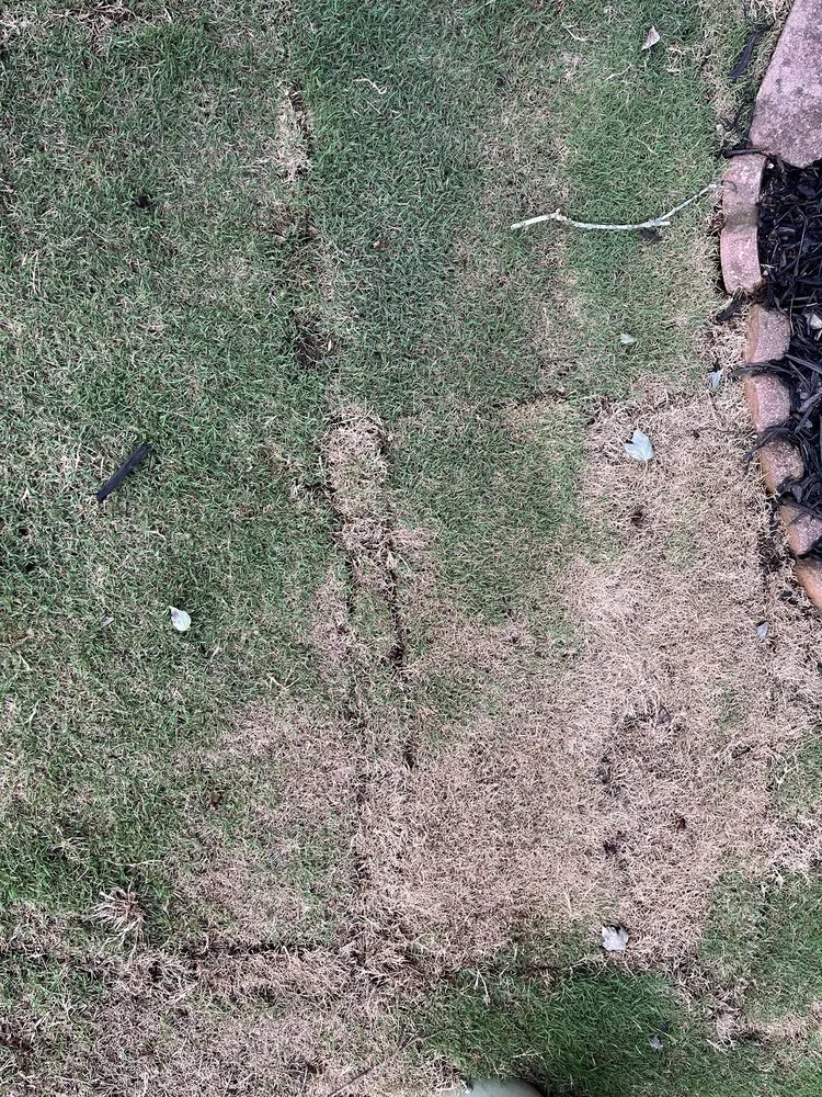 Local landscape design in Woodstock, GA - Miller Landscape