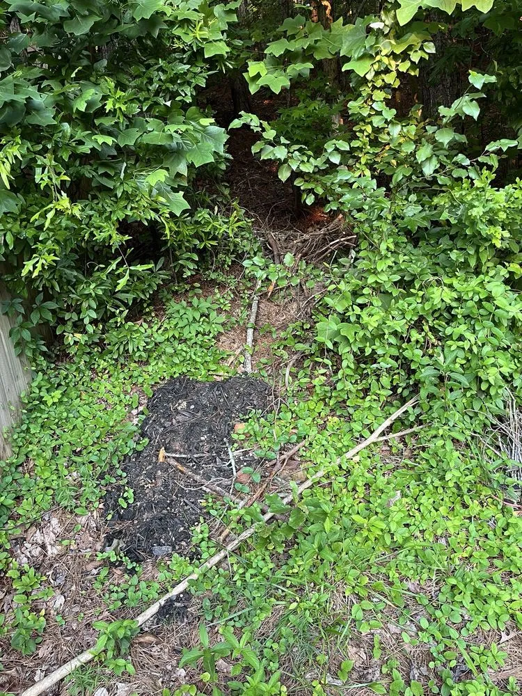 Top-rated lawn care service experts serving Woodstock, GA - Miller Landscape