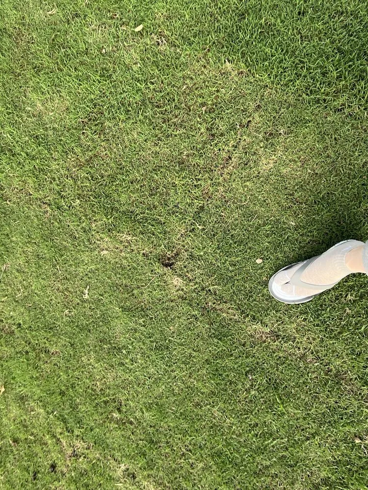 Affordable lawn mowing service for homes across Woodstock, GA - Miller Landscape