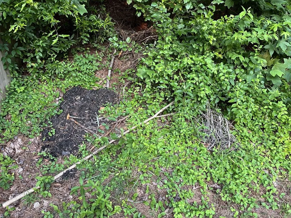 Custom yard maintenance near you across Woodstock, GA - Miller Landscape