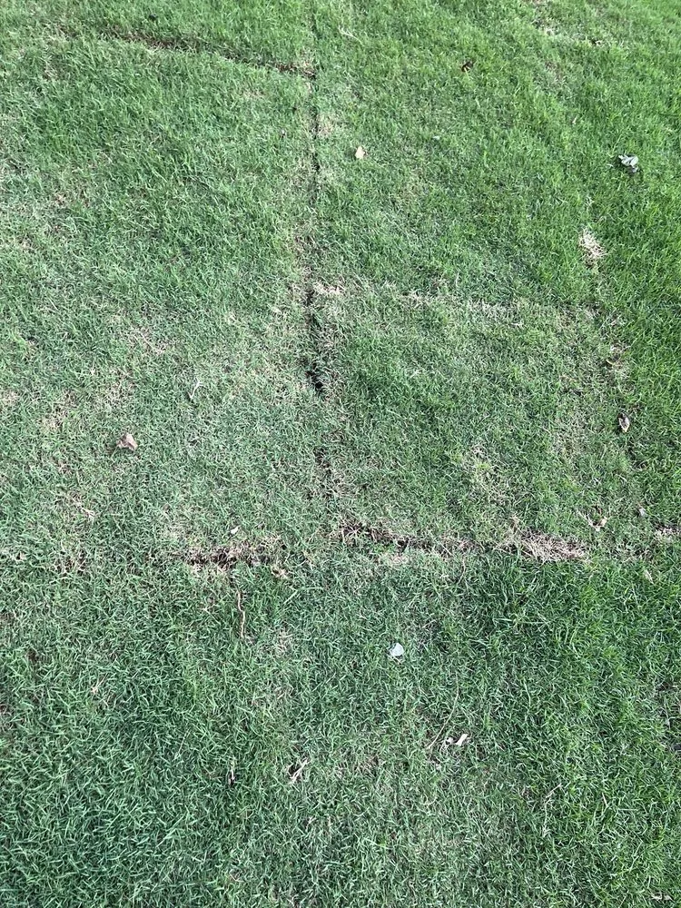 Professional garden landscaping with custom design across Woodstock, GA - Miller Landscape