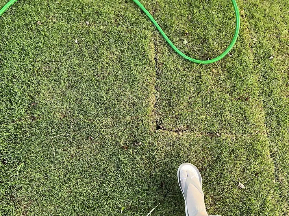 Reliable yard maintenance in Woodstock, GA - Miller Landscape