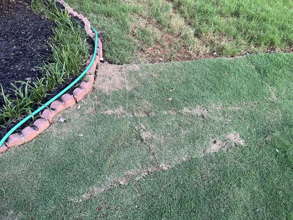 Top-rated lawn mowing service experts serving Woodstock, GA - Miller Landscape