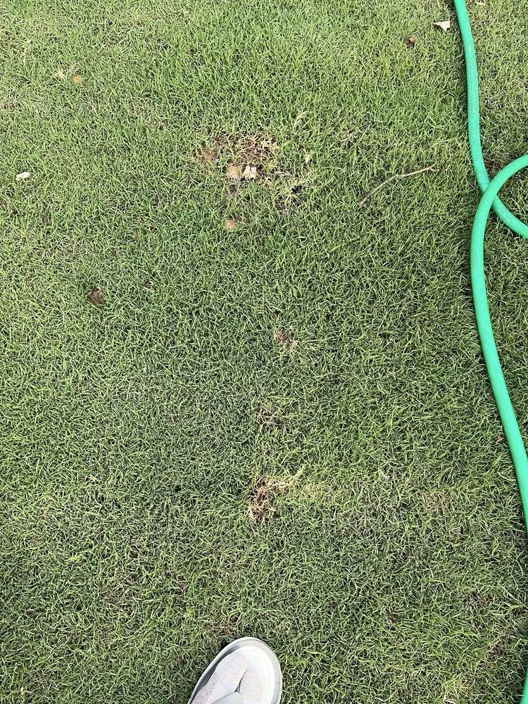 Expert garden landscaping experts serving Woodstock, GA - Miller Landscape