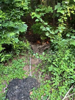 Miller Landscape Logo