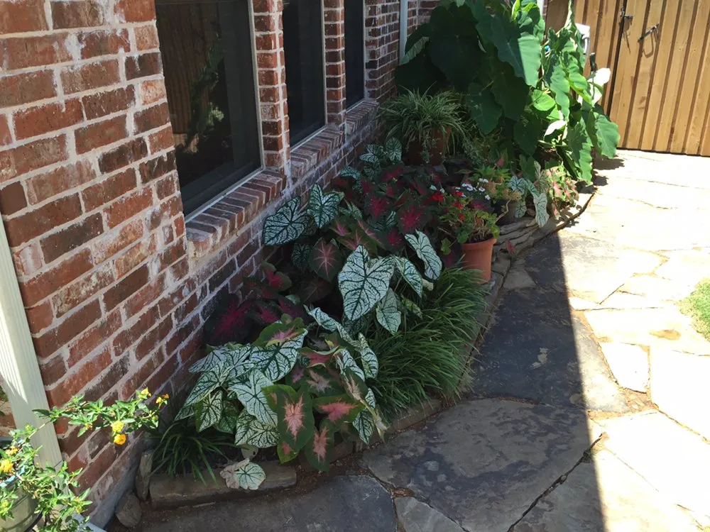 Reliable outdoor landscaping in allen, TX by Miller Landscaping & Fence