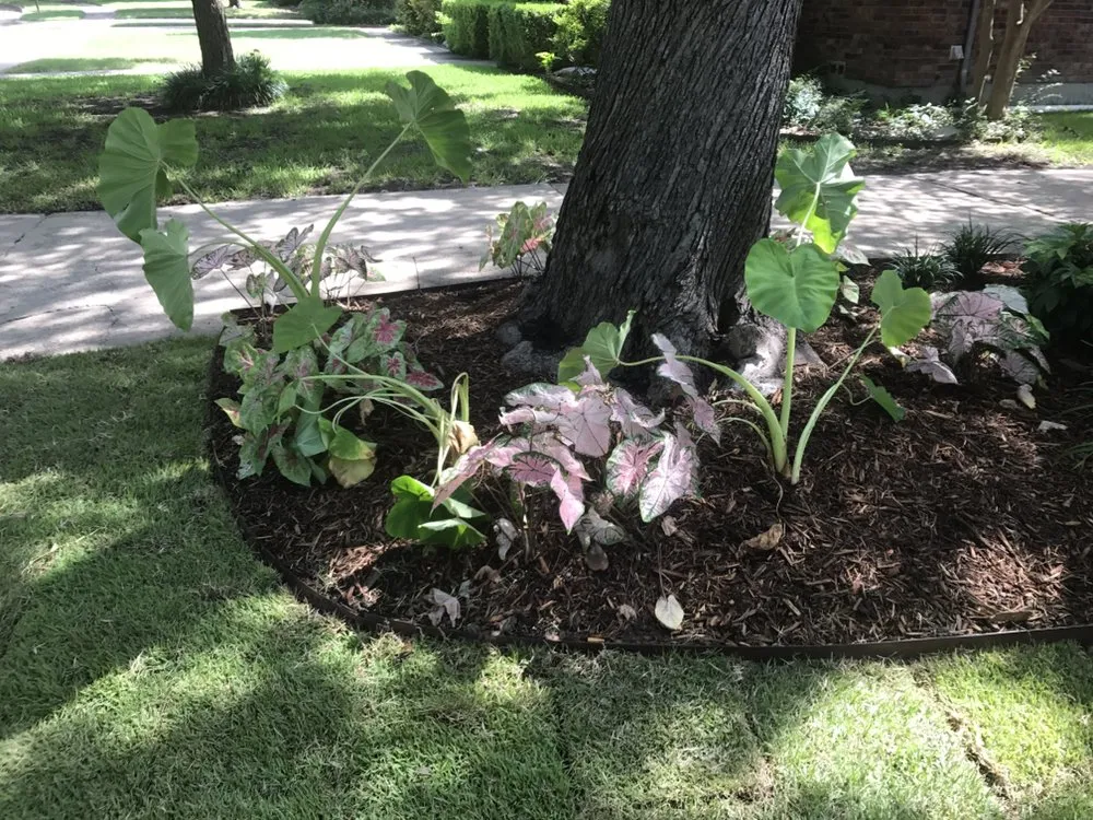 Expert landscape design in allen, TX by Miller Landscaping & Fence