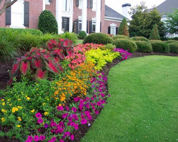 Affordable outdoor landscaping near you in allen, TX by Miller Landscaping & Fence
