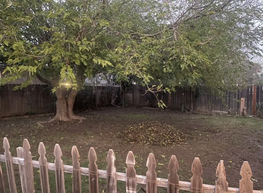 Top-rated outdoor landscaping experts serving Woodbridge, CA - Miller Landscaping & Maintenance