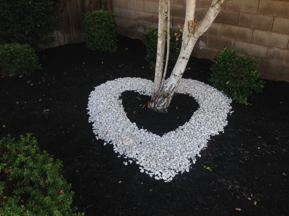 Local yard cleanup service experts serving Woodbridge, CA - Miller Landscaping & Maintenance