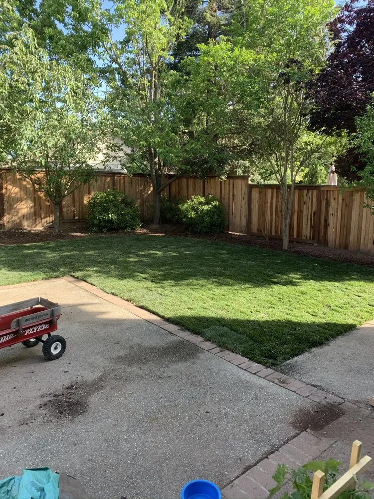 Custom landscape design experts serving Woodbridge, CA - Miller Landscaping & Maintenance