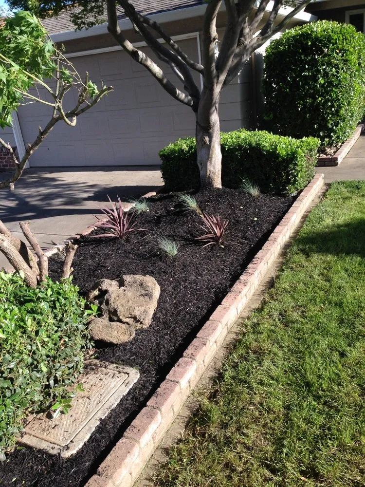 Professional yard maintenance for beautiful yards across Woodbridge, CA - Miller Landscaping & Maintenance