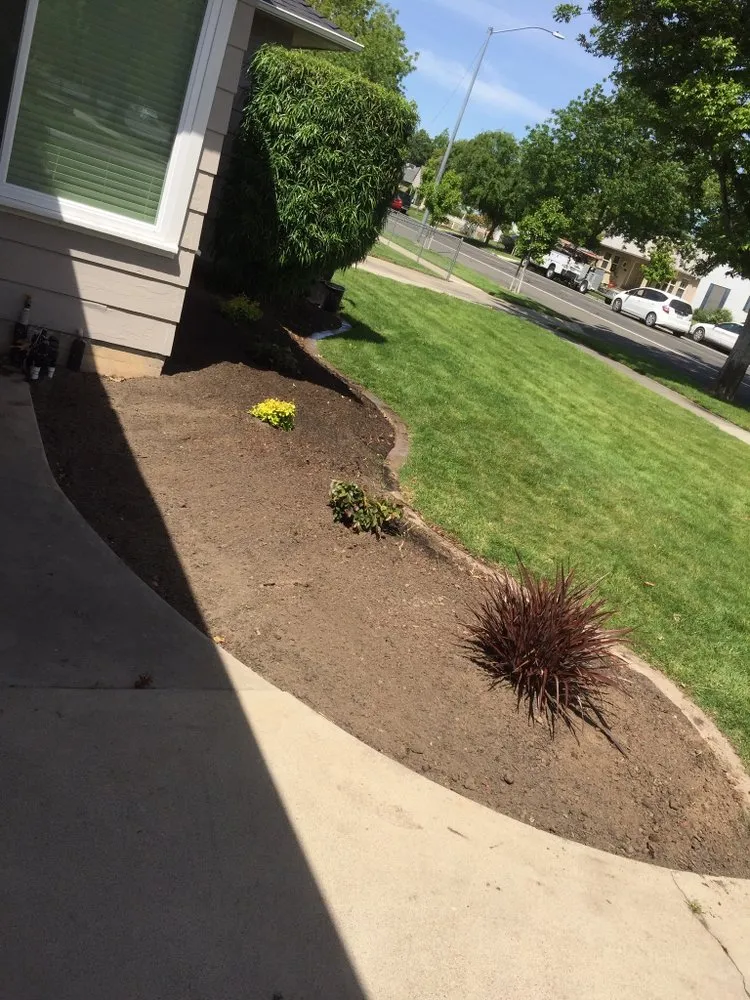 Professional landscape installation in Woodbridge, CA by Miller Landscaping & Maintenance