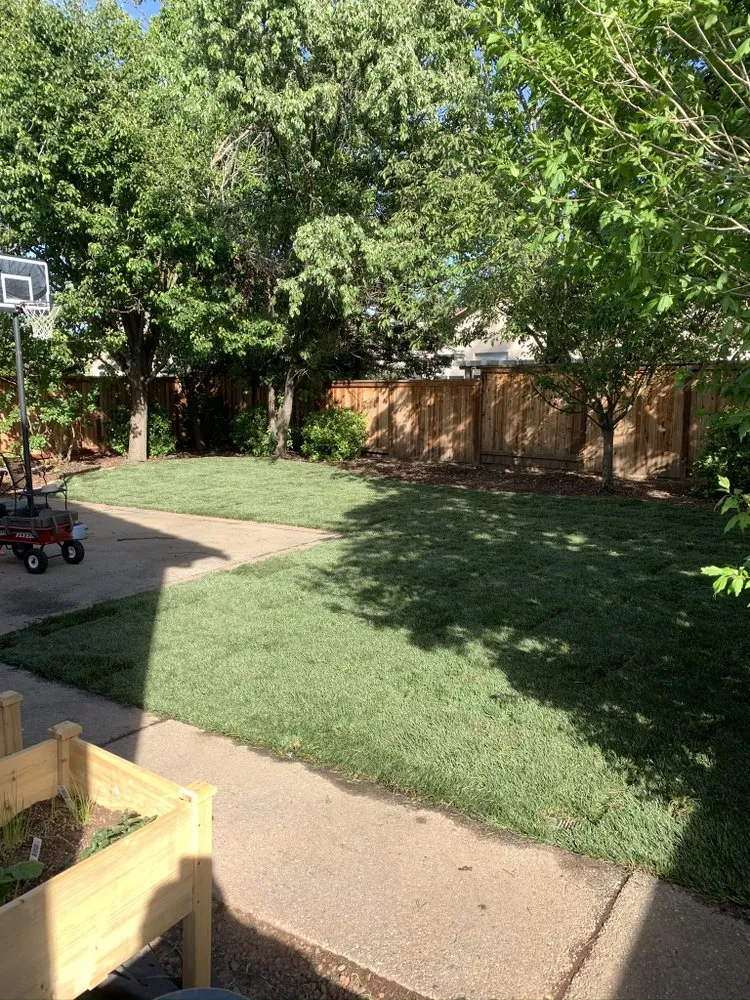 Expert landscaping services experts serving Woodbridge, CA - Miller Landscaping & Maintenance