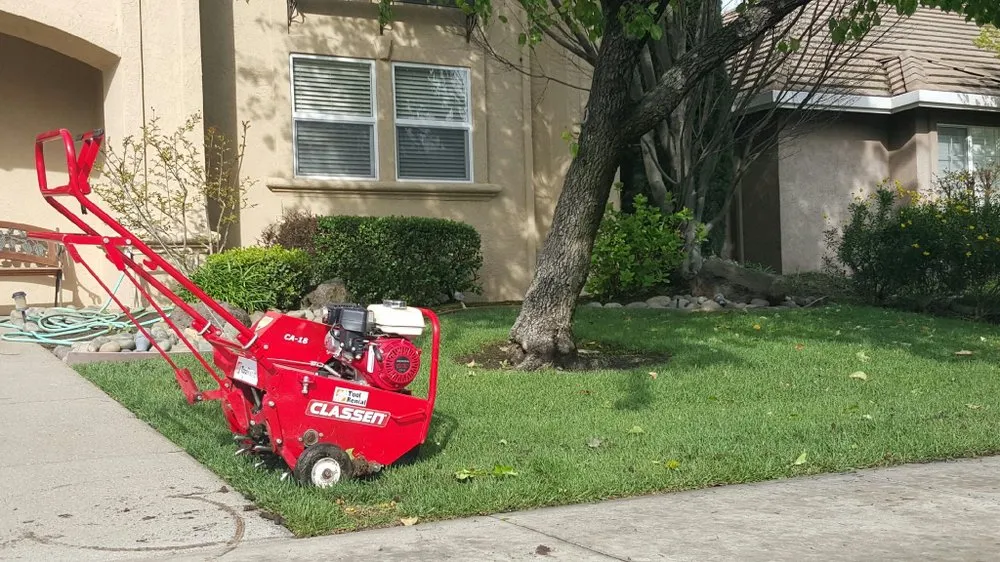 Trusted lawn care service in Woodbridge, CA by Miller Landscaping & Maintenance