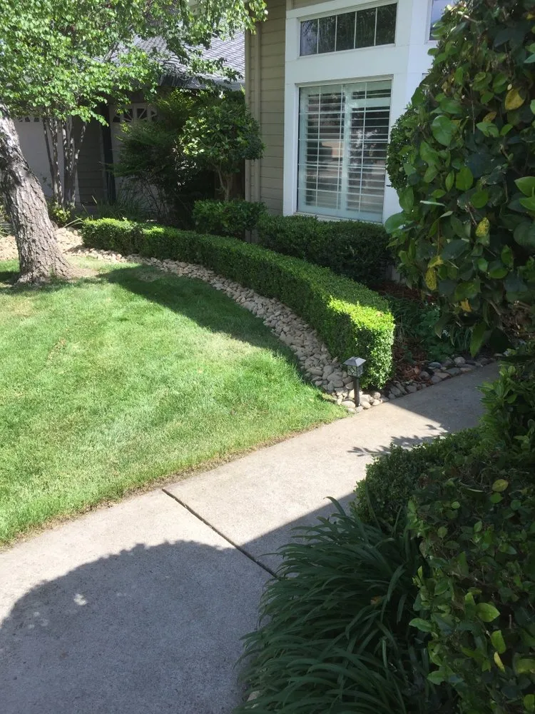 Affordable garden landscaping in Woodbridge, CA - Miller Landscaping & Maintenance