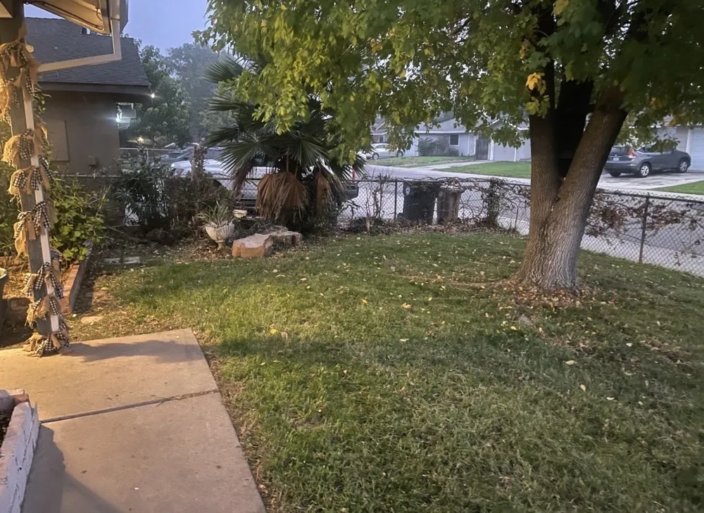 Expert yard cleanup service for outdoor upgrades in Woodbridge, CA by Miller Landscaping & Maintenance