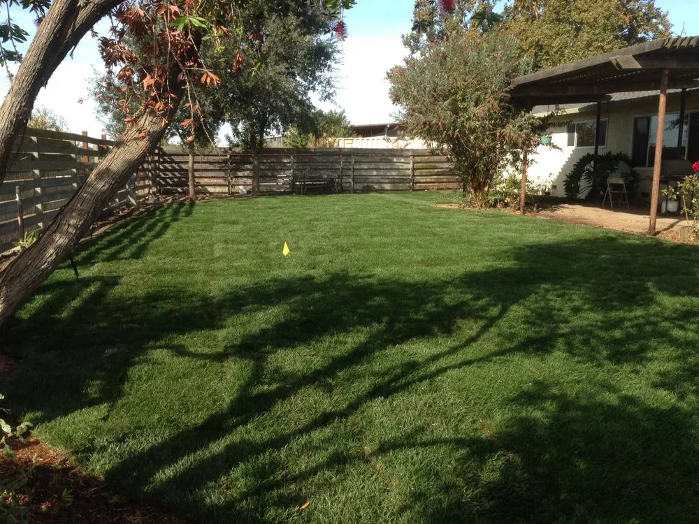 Trusted landscape design for beautiful yards in Woodbridge, CA by Miller Landscaping & Maintenance