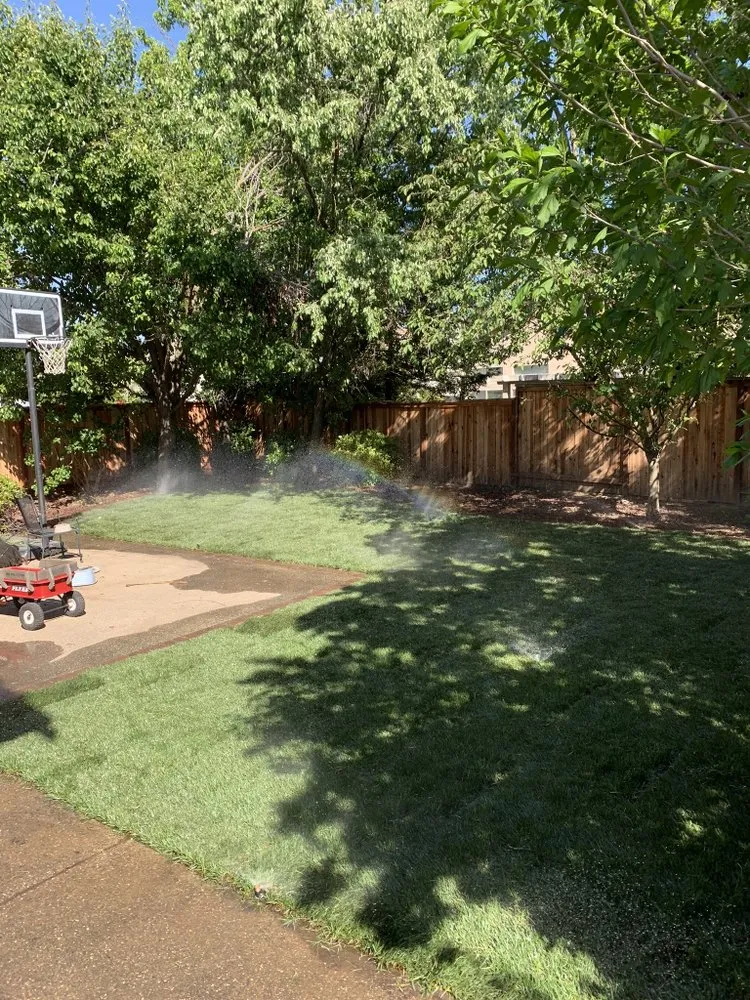 Expert residential landscaping for homes across Woodbridge, CA - Miller Landscaping & Maintenance