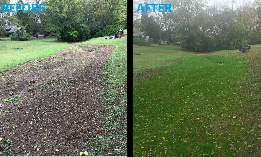 Expert yard cleanup service in Nashville, TN by Miller Landscaping and Lawncare