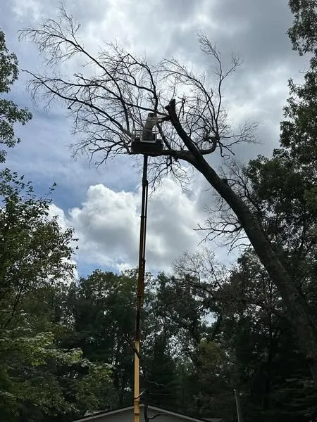 Top-rated landscaping services experts serving Baldwin, MI - Miller Landscaping