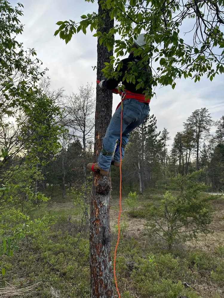 Custom residential landscaping for beautiful yards across Baldwin, MI - Miller Landscaping