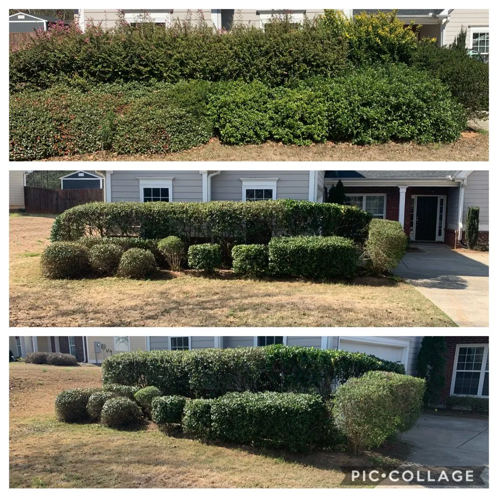 Reliable residential landscaping in Winterville, GA by Miller Landscaping Services