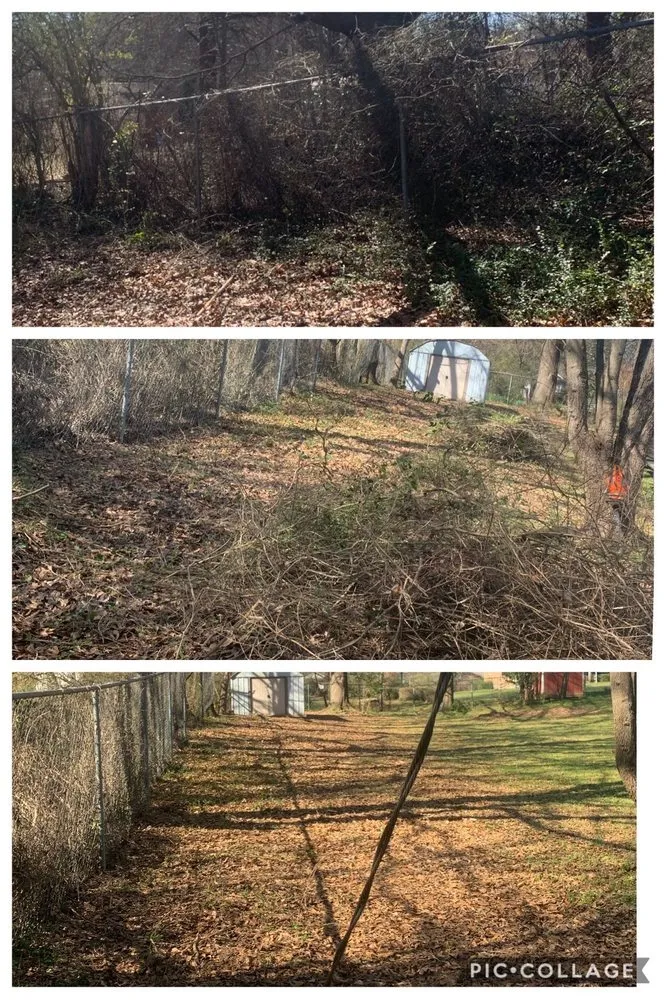 Expert landscape installation with custom design across Winterville, GA - Miller Landscaping Services