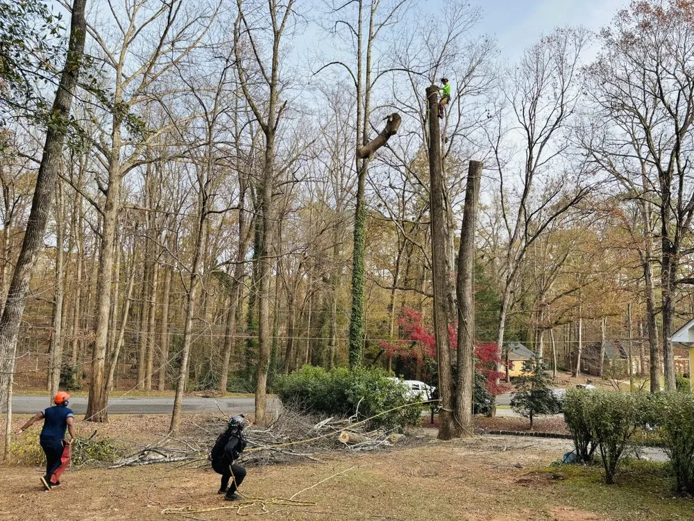 Custom garden landscaping in Winterville, GA - Miller Landscaping Services