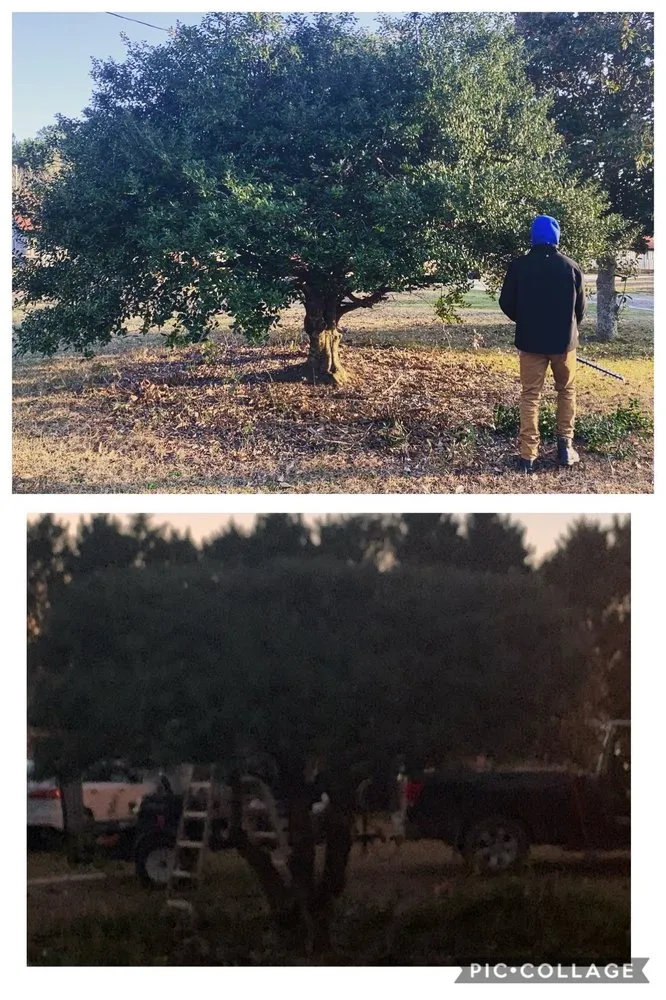 Custom garden landscaping in Winterville, GA - Miller Landscaping Services