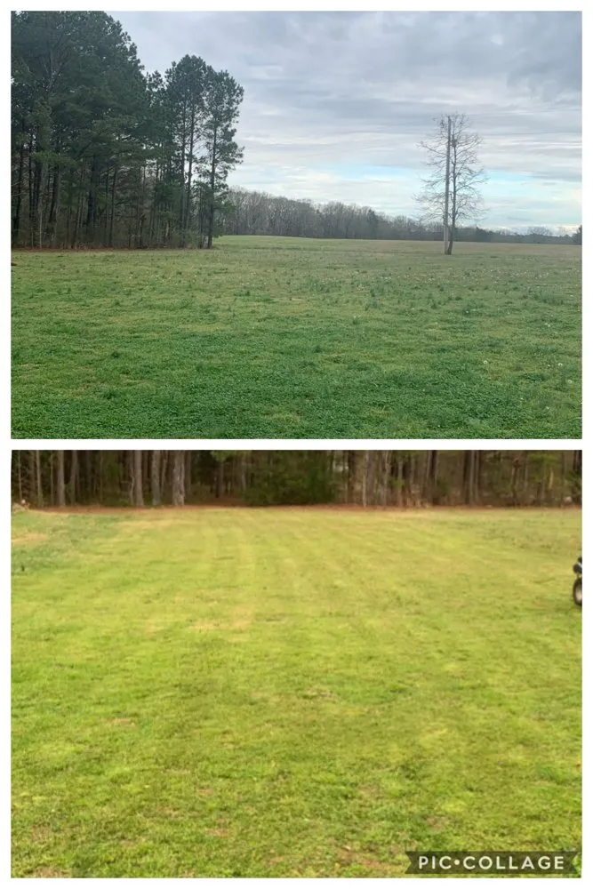 Affordable landscape installation near you across Winterville, GA - Miller Landscaping Services