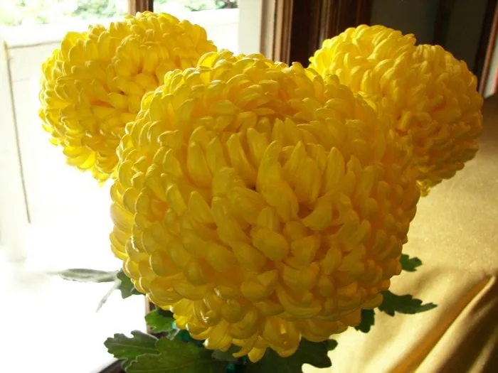 Top-rated garden landscaping in Winterville, GA - Miller Landscaping Services