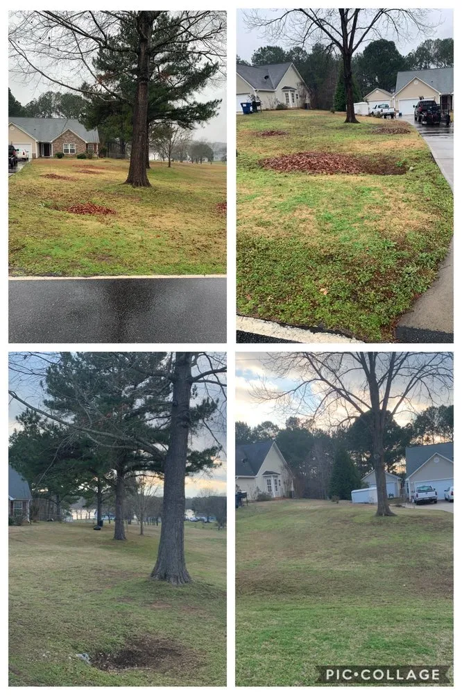 Local landscape design for homes across Winterville, GA - Miller Landscaping Services