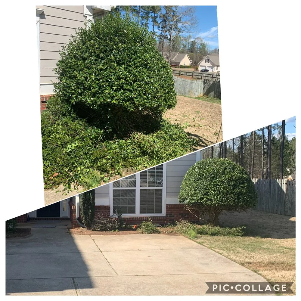 Local landscape installation in Winterville, GA - Miller Landscaping Services