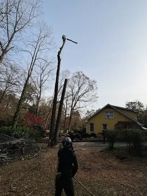 Miller Landscaping Services