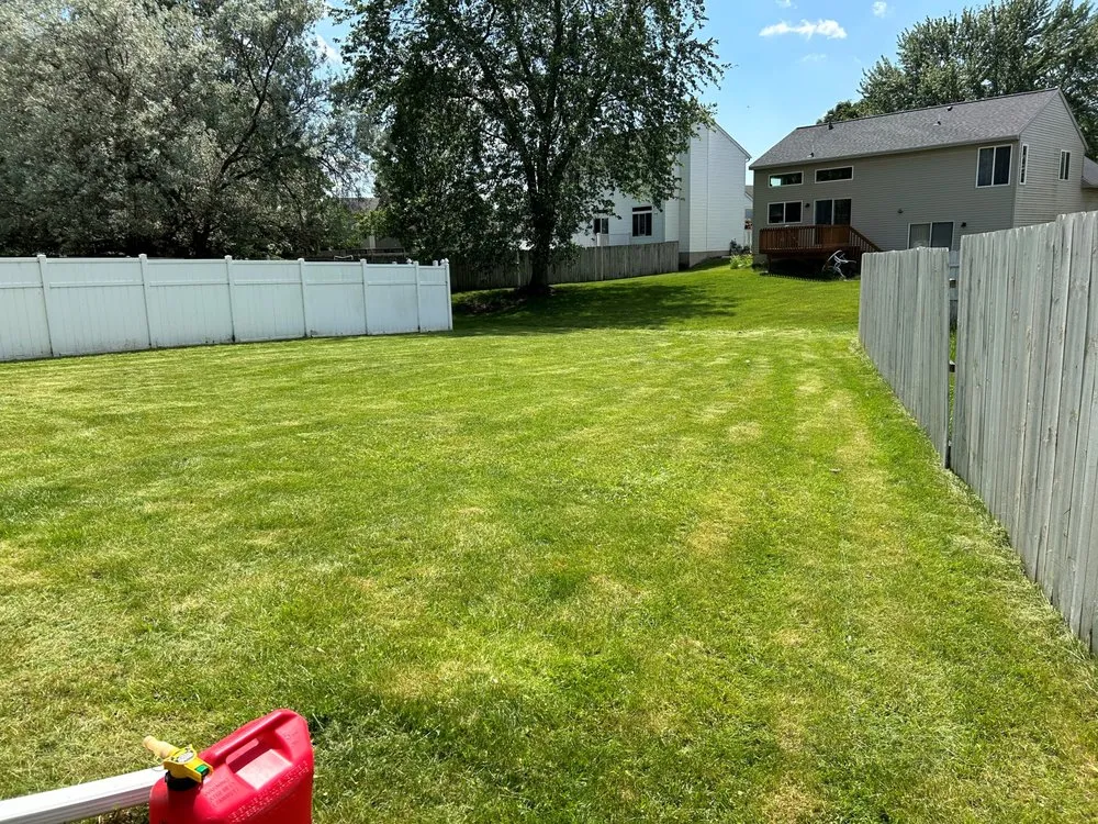 Professional yard cleanup service for beautiful yards across Grand Rapids, MI - Miller Lawn & Snow